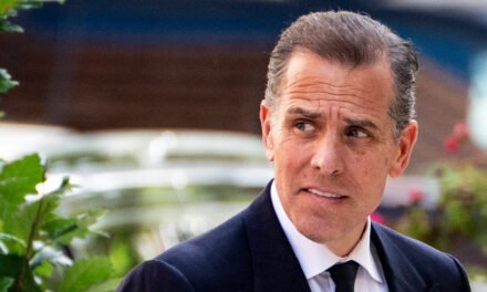 Broad Pardon for Hunter Biden Troubles Experts