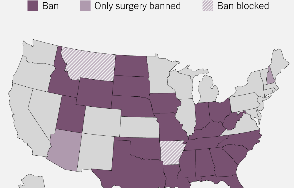 Which States Have Passed Bans on Treatment for Transgender Minors?