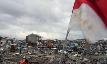 Indian Ocean Tsunami Was the Deadliest in History. 20 Years Later, Challenges Still Remain.