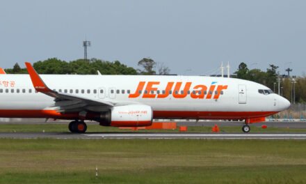 Boeing 737-800, a Precursor to the 737 Max, Is Used Widely.