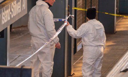 Victim of Coney Island Subway Immolation Is Identified by the Police