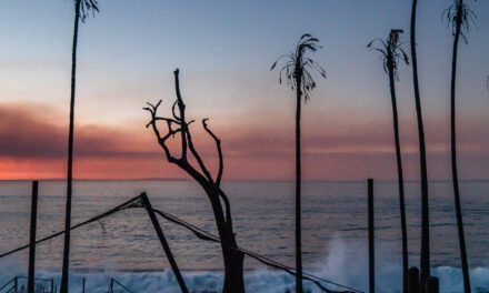 The California Wildfires Are the Latest Disaster Supercharged by Climate Change