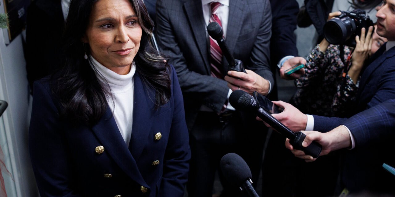 Tulsi Gabbard’s Unorthodox Path to Trump’s Intelligence Team