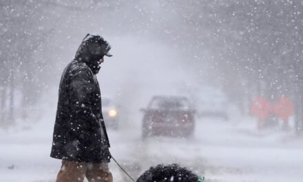 Winter Storm Brings Heavy Snow and Freezing Rain to the Mid-Atlantic