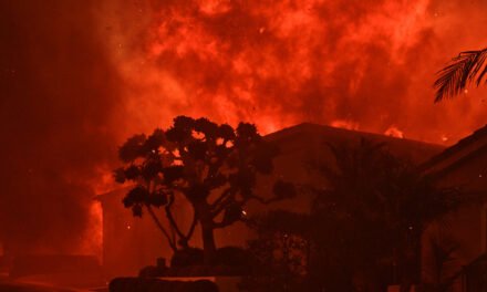 ‘It Was Biblical’: Ash and Flame Upend Life in Southern California