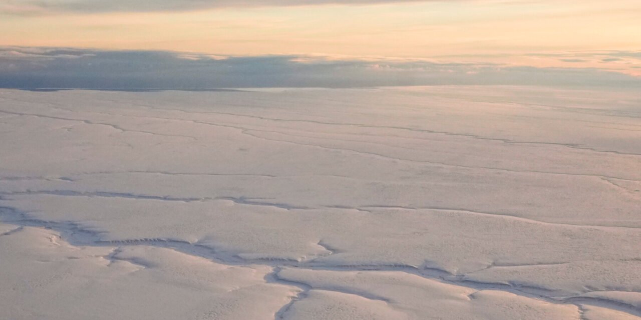 Arctic National Wildlife Refuge Received No Drilling Bids