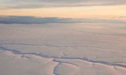 Arctic National Wildlife Refuge Received No Drilling Bids