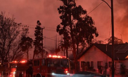 Who Are the Victims of the Los Angeles Fires?