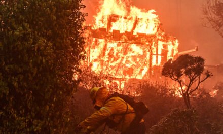 ‘Completely Dry’: How Los Angeles Firefighters Ran Out of Water