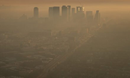 Los Angeles Is Starring in an All-Too-Real Disaster Story