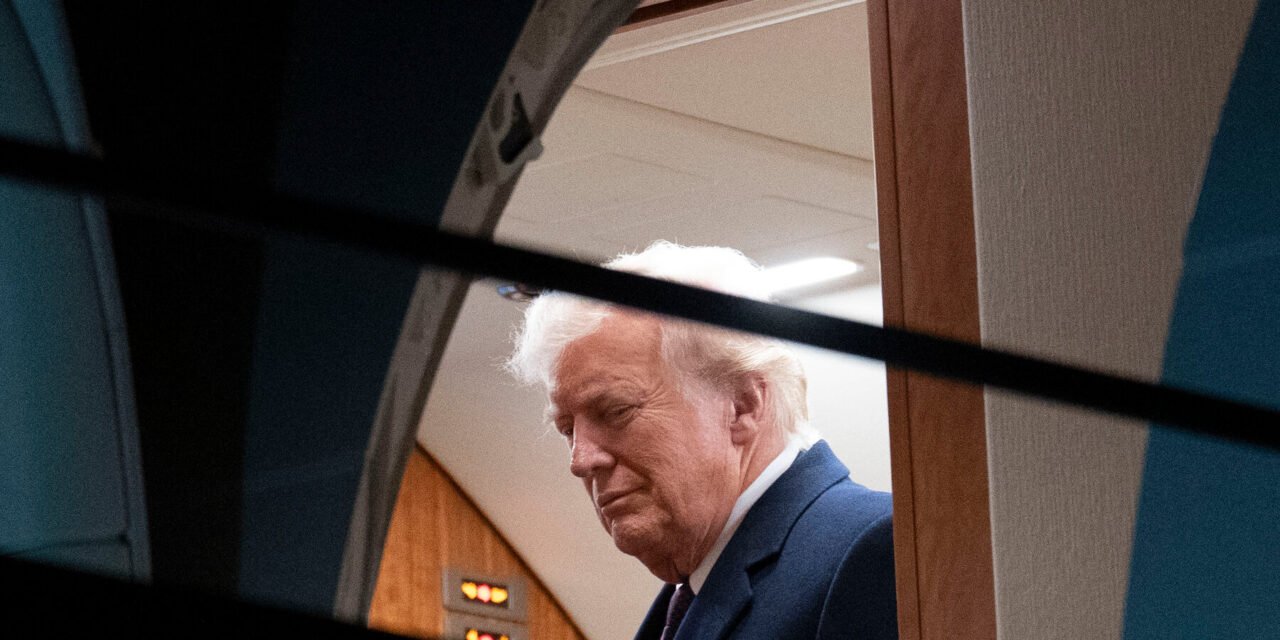 Trump Says He Will Stall TikTok Ban With Executive Order