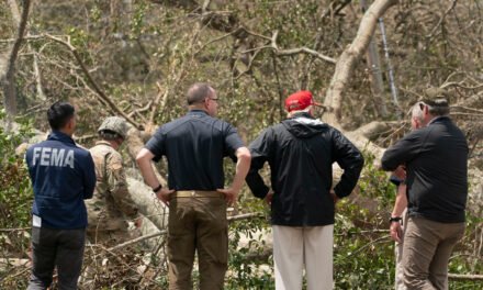 Trump Says States Should Manage Disasters. Former FEMA Leaders Agree.