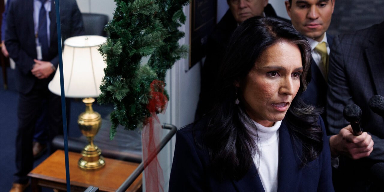 Tulsi Gabbard Briefly Subject to Special Scrutiny Last Year After Vatican Meeting