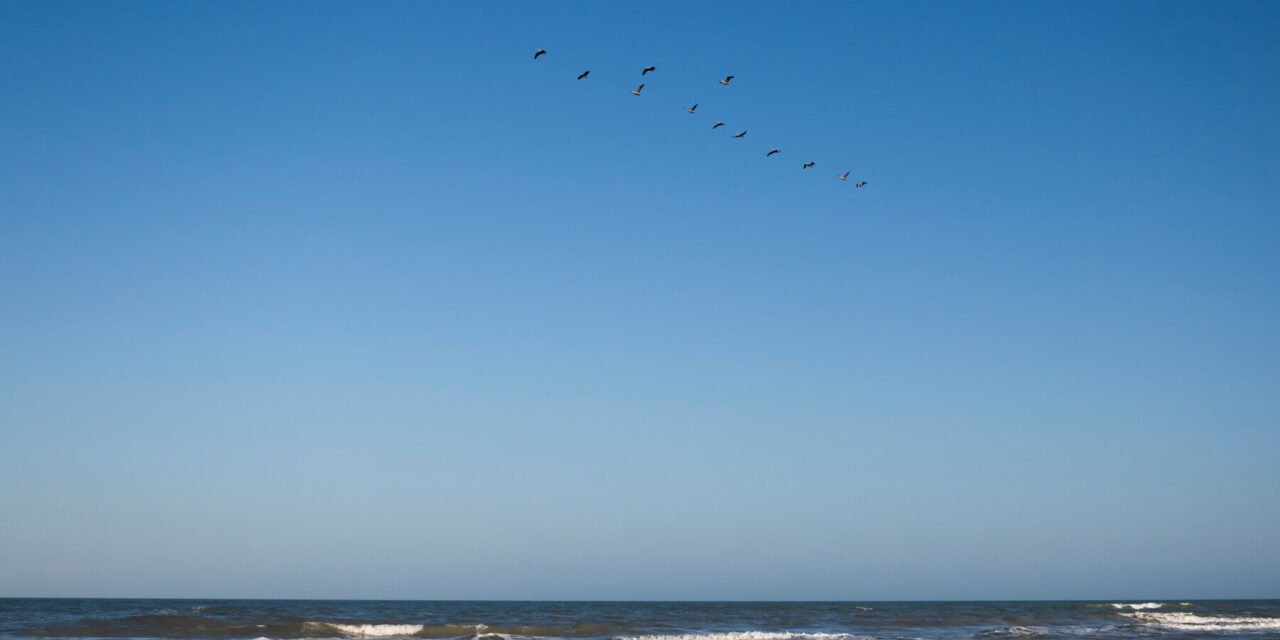 Gulf of Mexico? Gulf of America? What’s in a Name, Anyway?