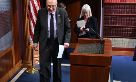 Schumer Is Pushed by Democratic Governors to Fight Harder Against Trump