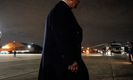 Suit Over Firing by Trump Could Pave Way for Broader Presidential Power