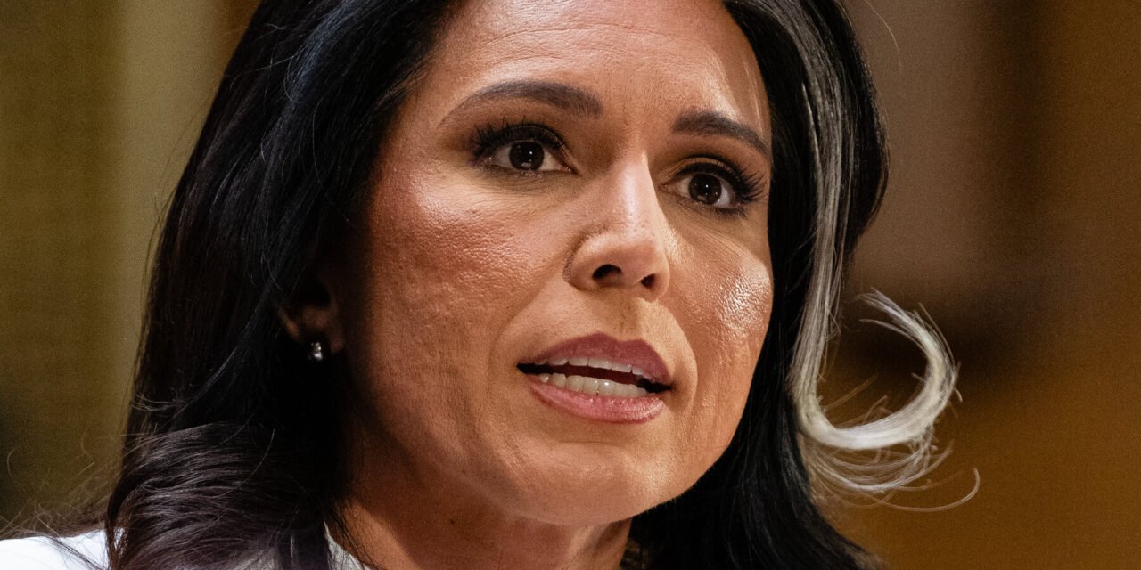Senate Advances Gabbard, Signaling Quick Confirmation