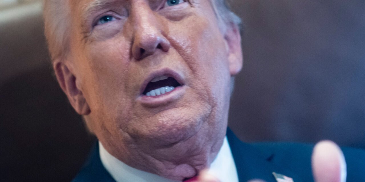 Trump Argues That Courts Cannot Block Elon Musk’s DOGE Team From Treasury Systems