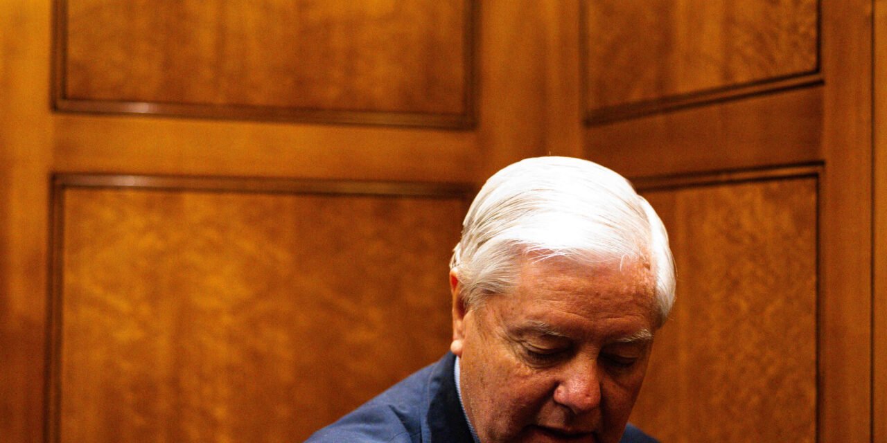 Defying Johnson, Graham and Senate G.O.P. Push Their Own Budget Plan