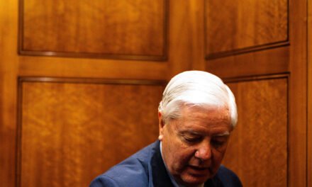 Defying Johnson, Graham and Senate G.O.P. Push Their Own Budget Plan