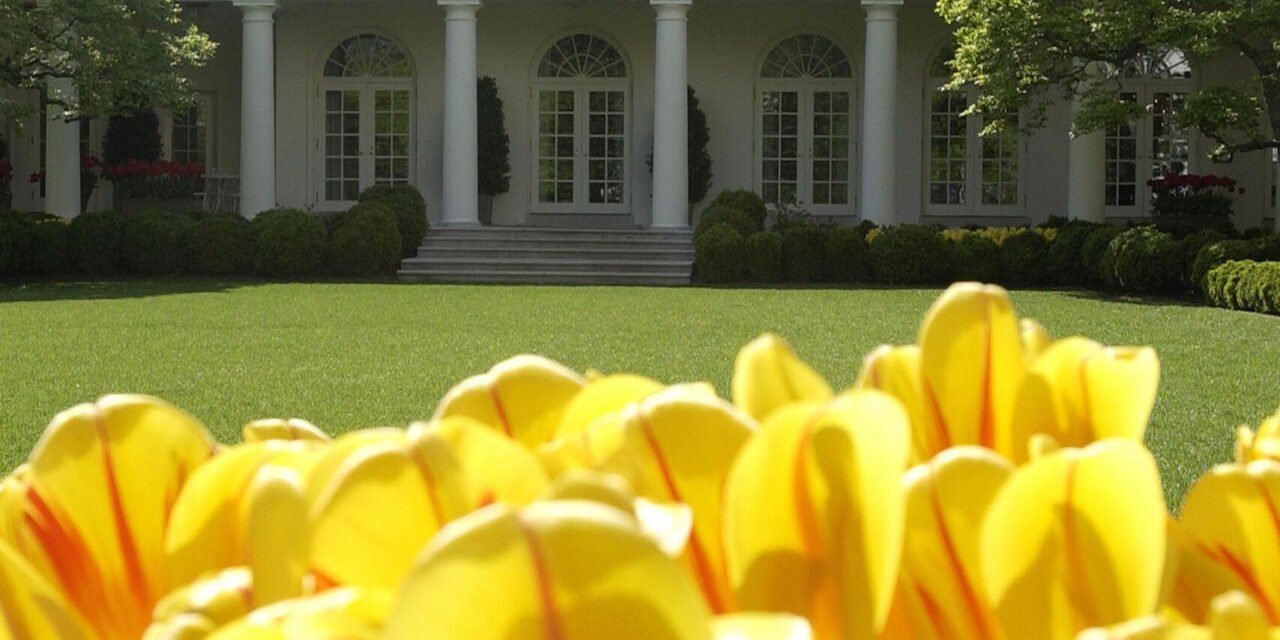 White House Rose Garden: Photos of the Key Historical Moments