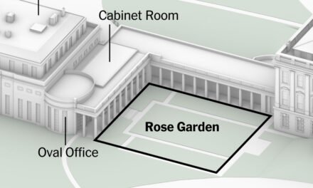 Trump Considers Paving Grass at White House Rose Garden to Match Mar-a-Lago