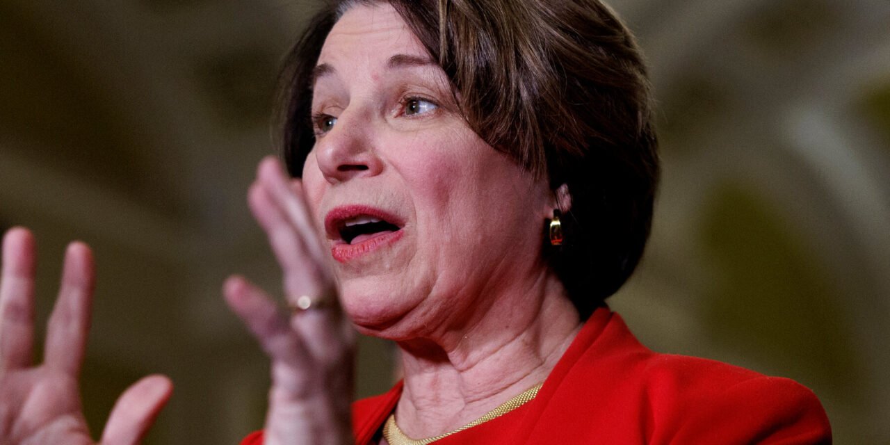Amy Klobuchar Can’t Stop Talking About Eggs. We Asked Her Why.