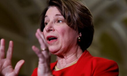 Amy Klobuchar Can’t Stop Talking About Eggs. We Asked Her Why.