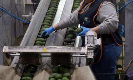 Tariffs Add a New Shock to Food Supply Chains