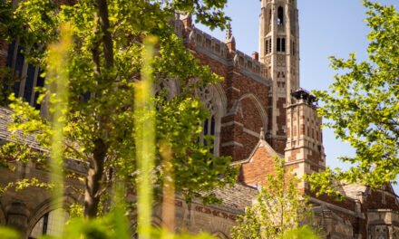 Yale Scholar Banned After A.I. News Site Accuses Her of Terrorist Link
