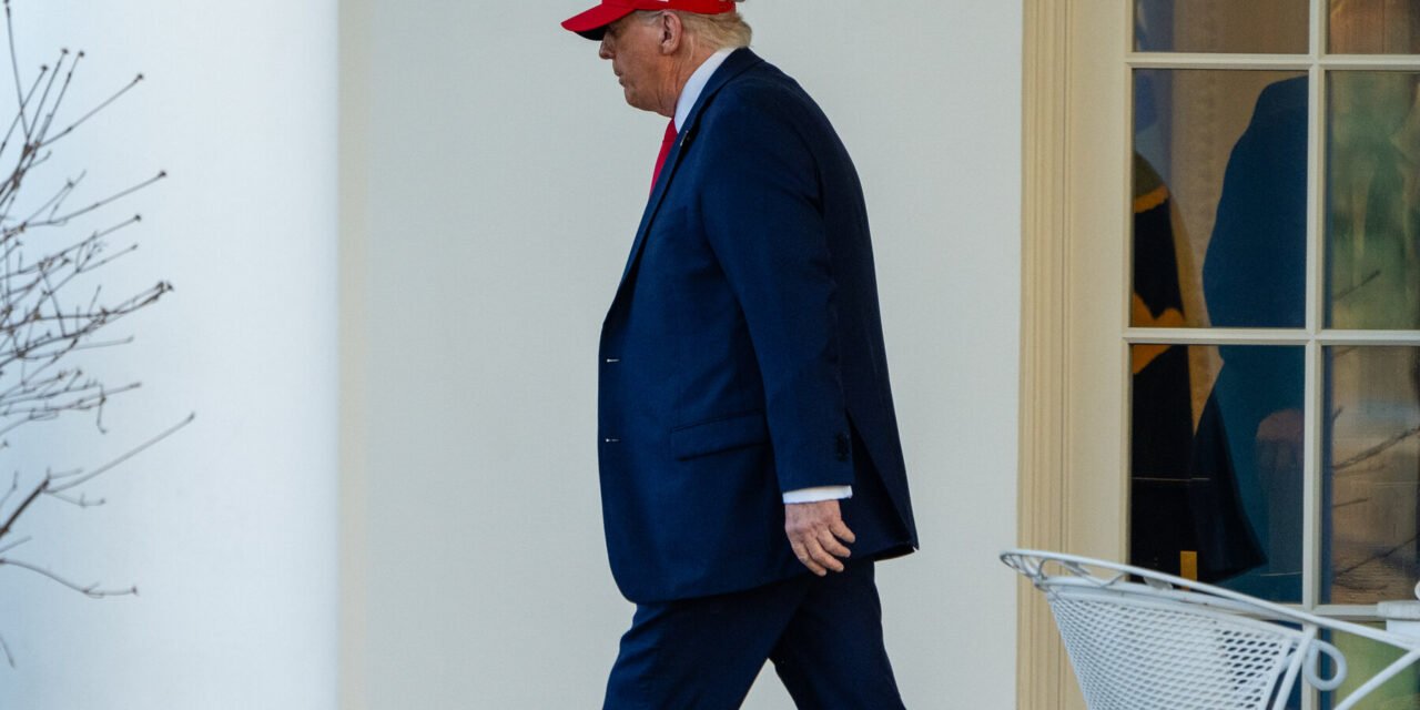 Judge Rules Trump Can’t Fire Head of Federal Watchdog Agency Without Cause