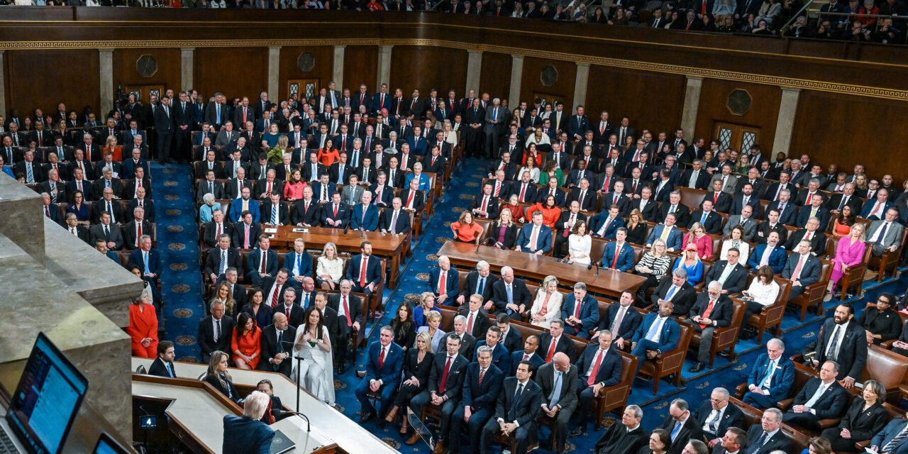 Democratic Response to Trump Shows a Party Divided on How to Resist Him