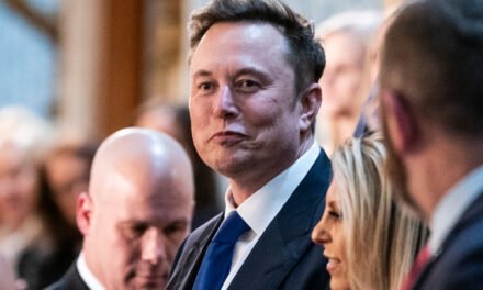 Elon Musk Is Making Republicans Sweat and Giving Democrats a New Target
