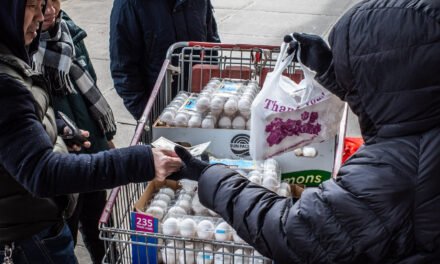 Egg Prices Surge Again Even as Inflation Eases