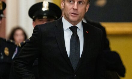 In a Europe Adrift, Macron Seizes the Moment
