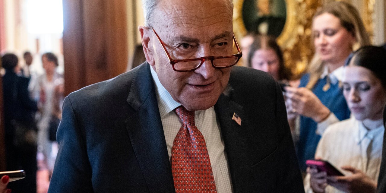 The Democratic Divide: Would a Shutdown Have Helped or Hurt Trump?