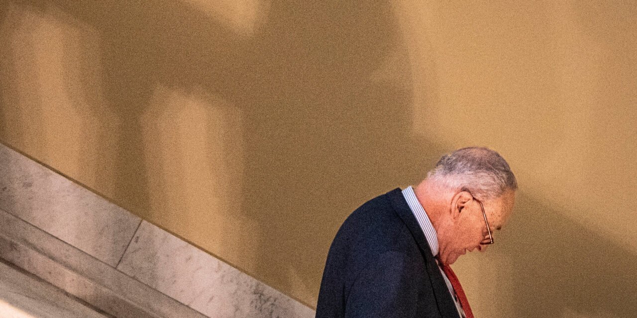 Schumer Under Fire as Pelosi and Other Democrats Criticize Shutdown Retreat