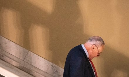 Schumer Under Fire as Pelosi and Other Democrats Criticize Shutdown Retreat