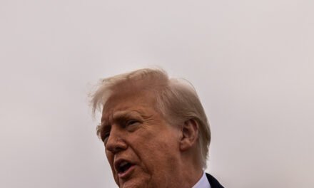 Trump Says a Recession Would Be Worth It, but Economists Are Skeptical