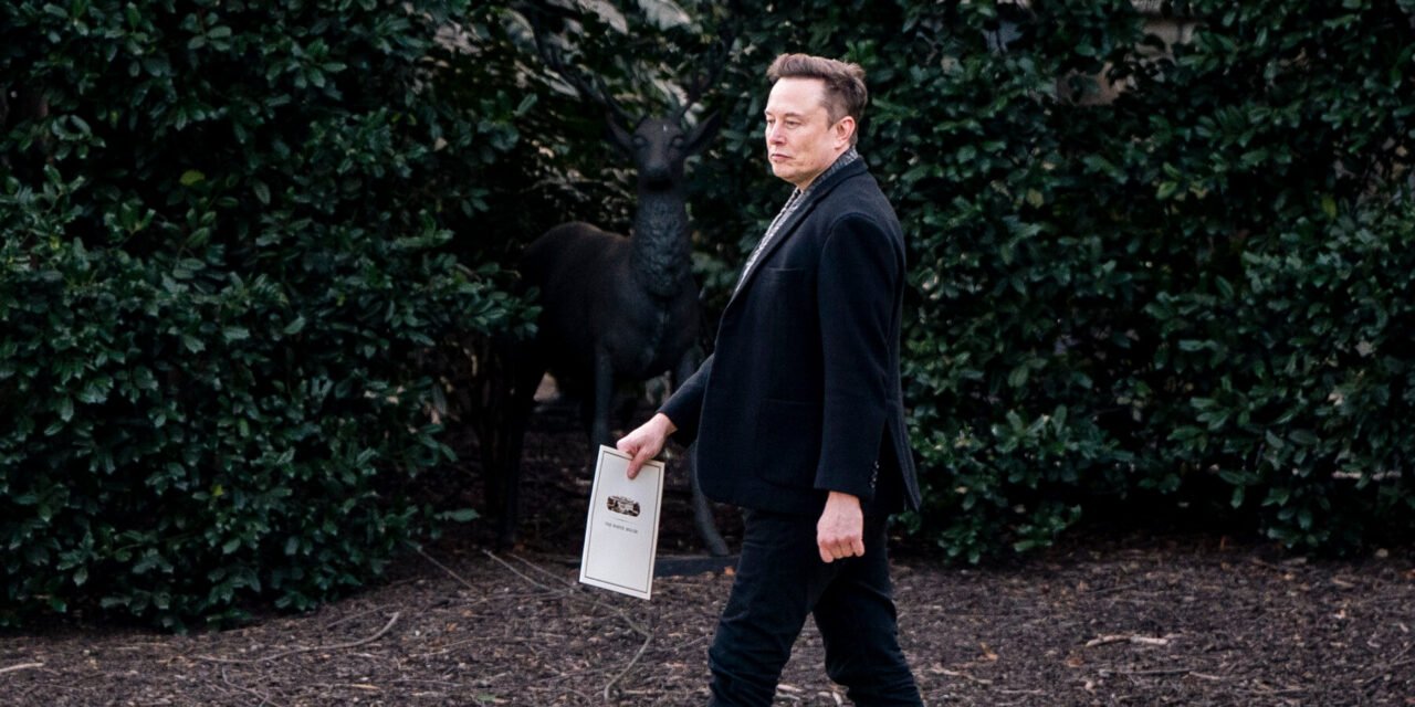 Inside Musk’s Latest Political Donations, and Greenpeace Takes a Hit