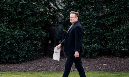 Inside Musk’s Latest Political Donations, and Greenpeace Takes a Hit