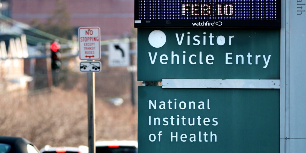 ‘Chaos and Confusion’ at the N.I.H., the Crown Jewel of American Science