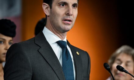 Declaring Their Party ‘Spineless,’ Democrats Try an Economic Populist Pitch