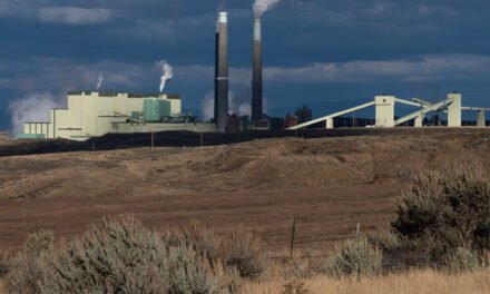 E.P.A. Offers a Way to Avoid Clean-Air Rules: Send an Email
