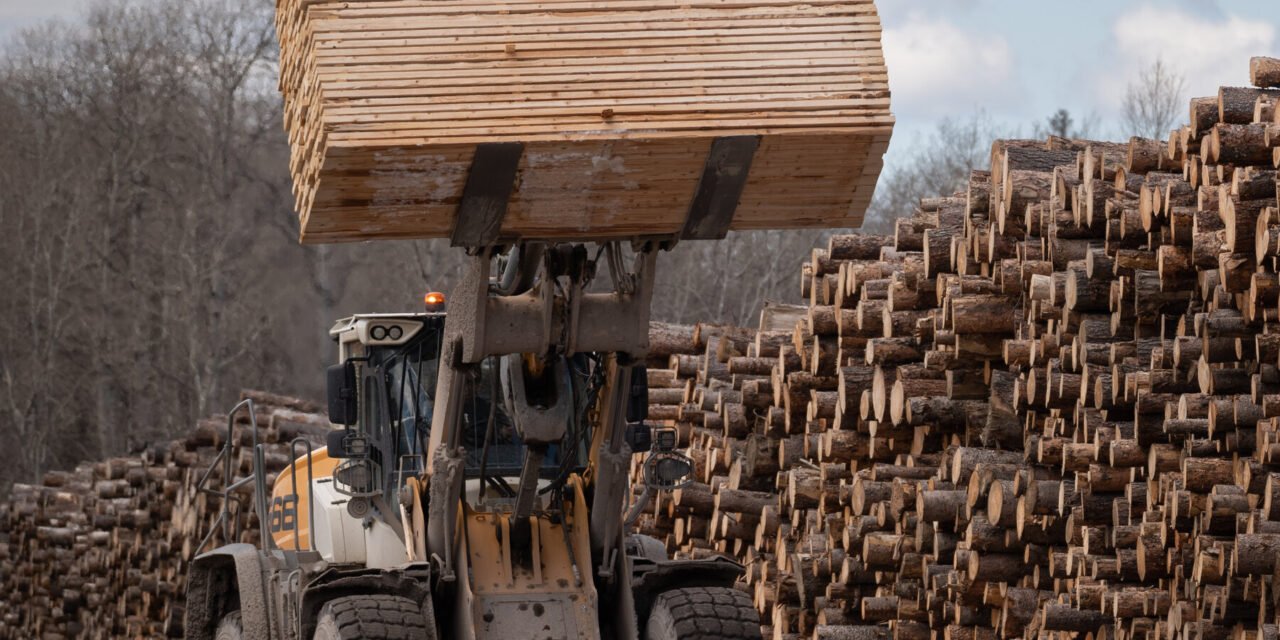 Trump Picks Another Trade Fight With Canada Over Lumber