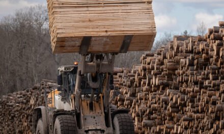 Trump Picks Another Trade Fight With Canada Over Lumber
