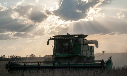 As Trump Tariffs Loom, White House Eyes Costly Farmer Bailouts