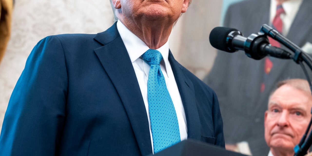 Trump’s Tariffs Prompt Wave of Lawsuits
