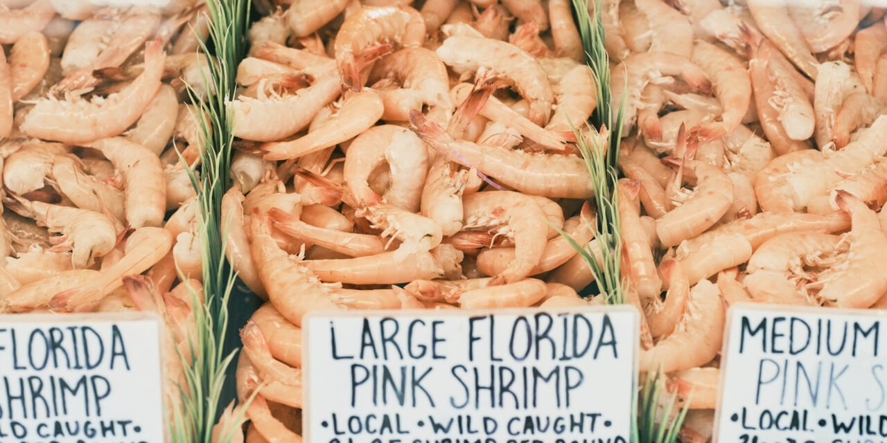 Gulf Coast Shrimpers See Hope in Trump’s Tariffs