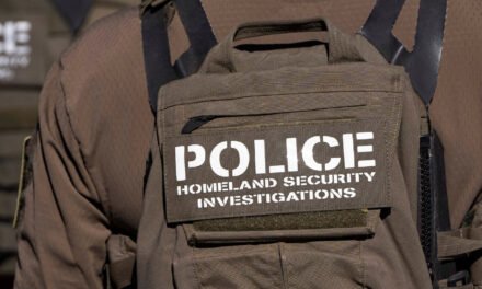 Joe Rogan, Voices on the Right Raise Alarm Over Trump’s Immigration Moves